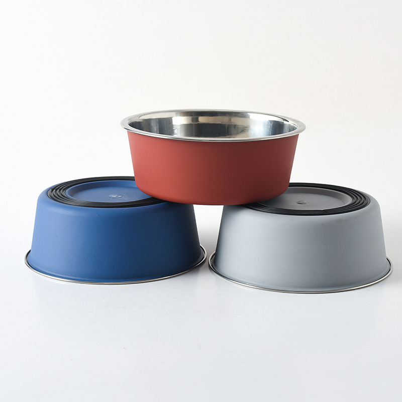 Can a Pet Water Bowl Spread Diseases?